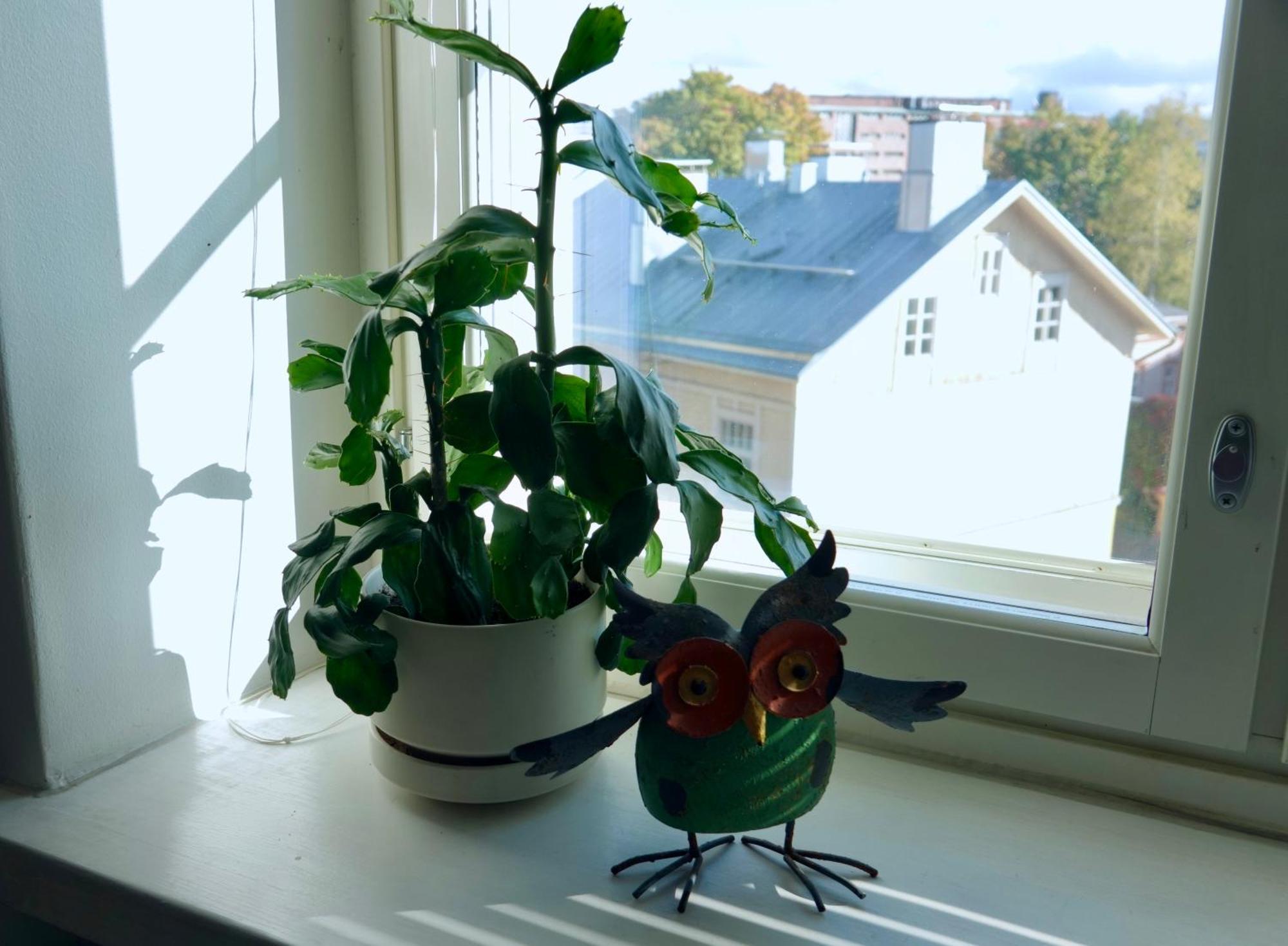 Charming City Studio Tampere Kültér fotó